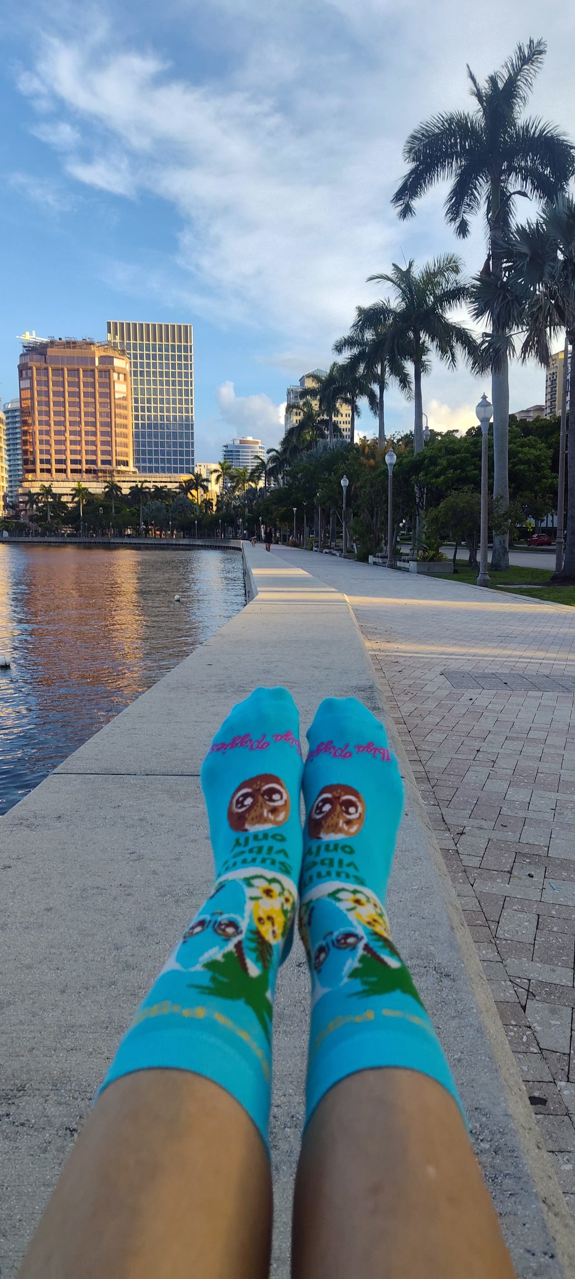 socks18