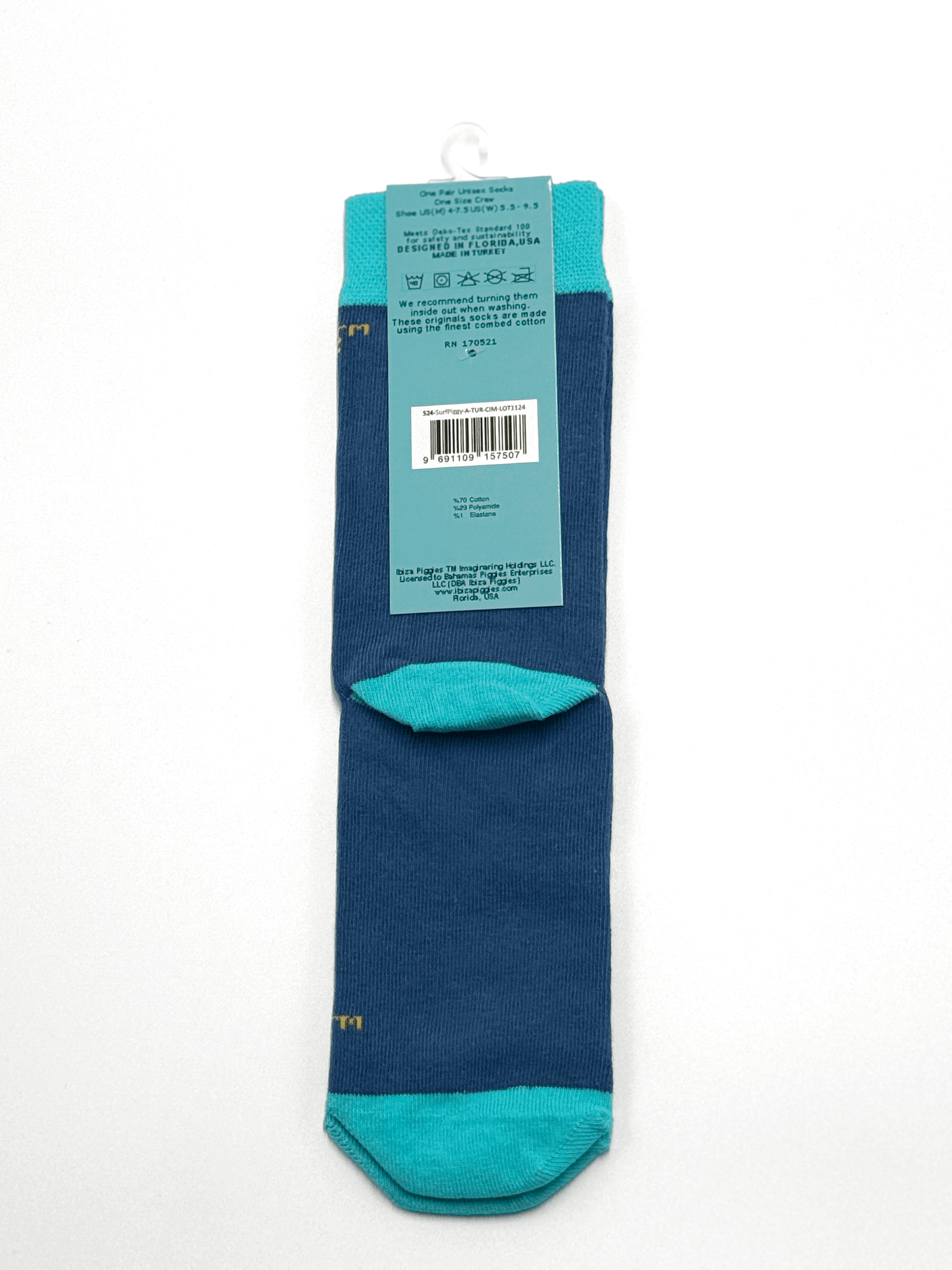surf-piggy-label-back