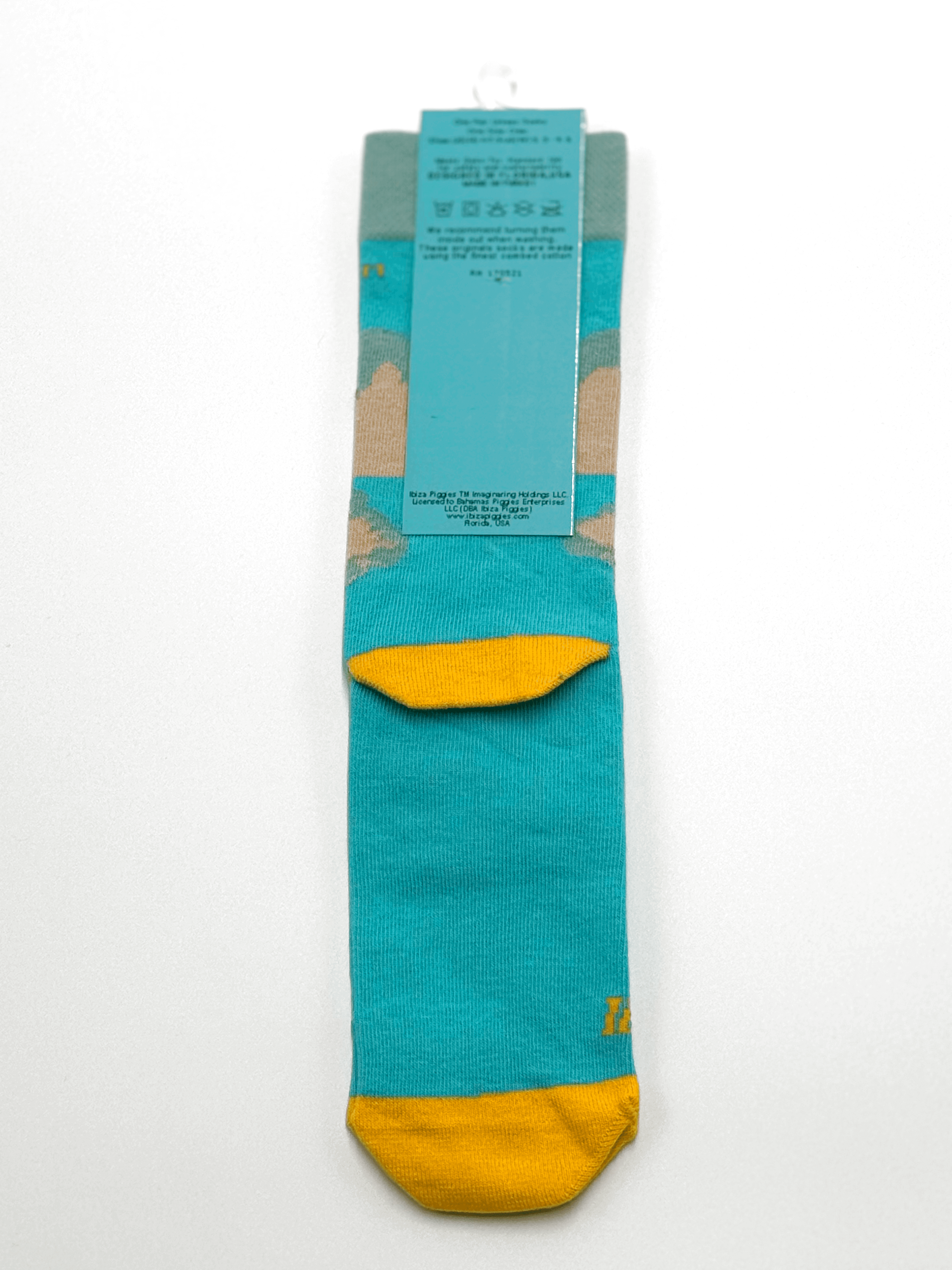 treasure-hunt-label-back
